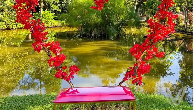 Imagem de vitrine